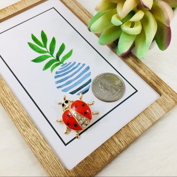 ‼️5 for $25 SALE‼️Cute Mini Red Lady Bug Brooch - Picture 3 of 5